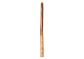 Wix Stix Didgeridoo (WS416)